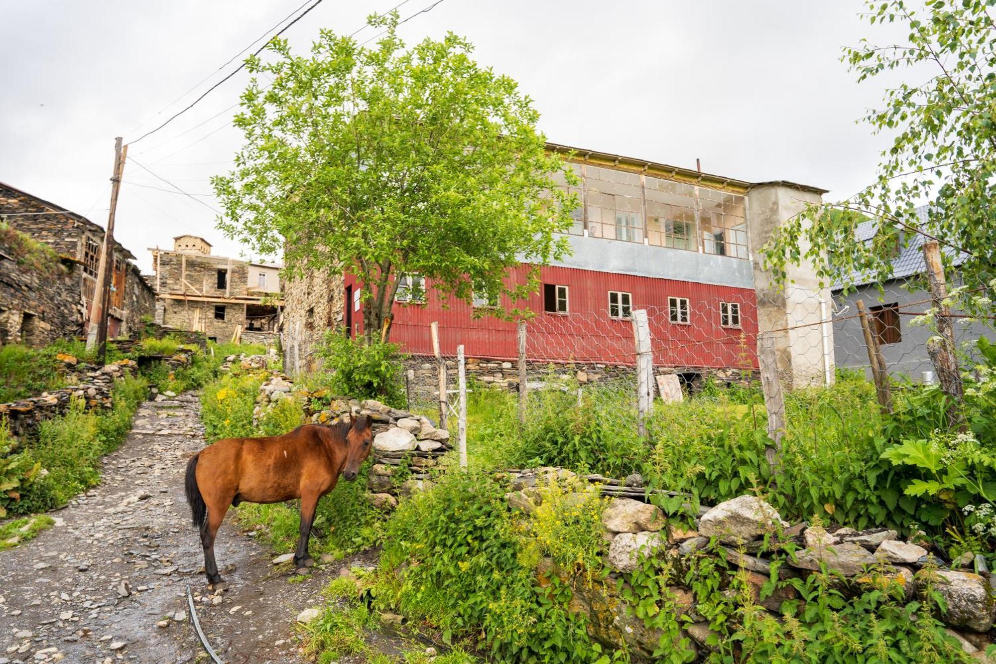 אושגולי Guesthouse Svani מראה חיצוני תמונה